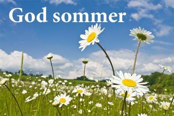 god-sommer2.jpg
