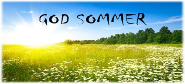 sommer.jpg