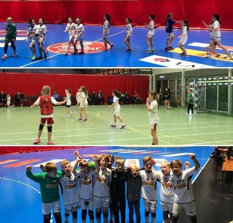 MinihÃ¥ndball.jpg