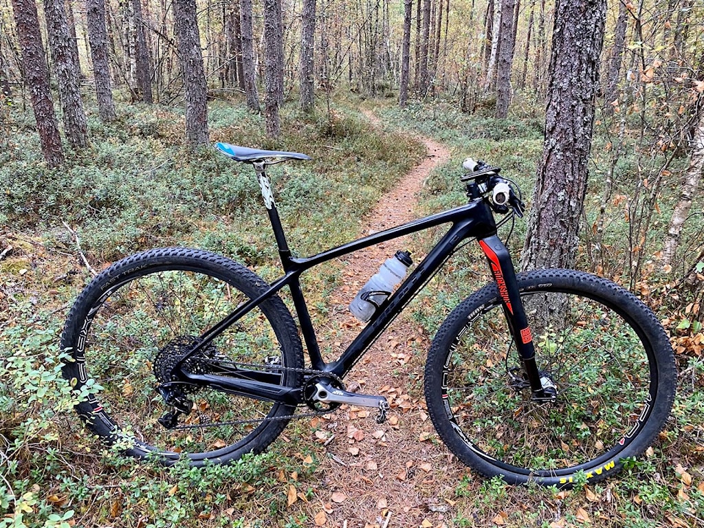 Hardtail.jpg
