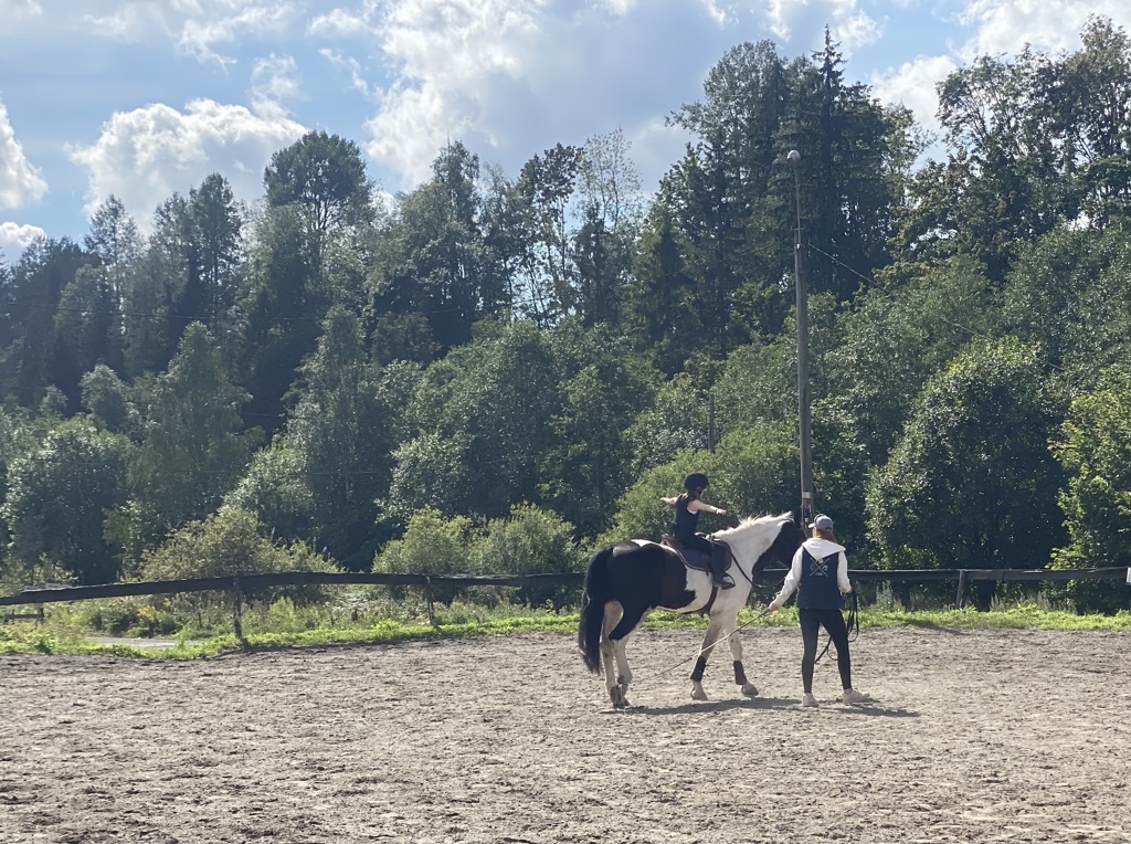 Hva betyr en rideskole?