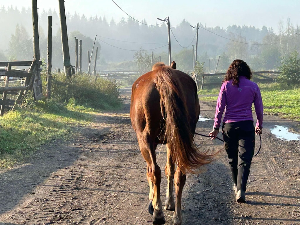 Artikkelbilde til artikkelen Frivillig hos oss