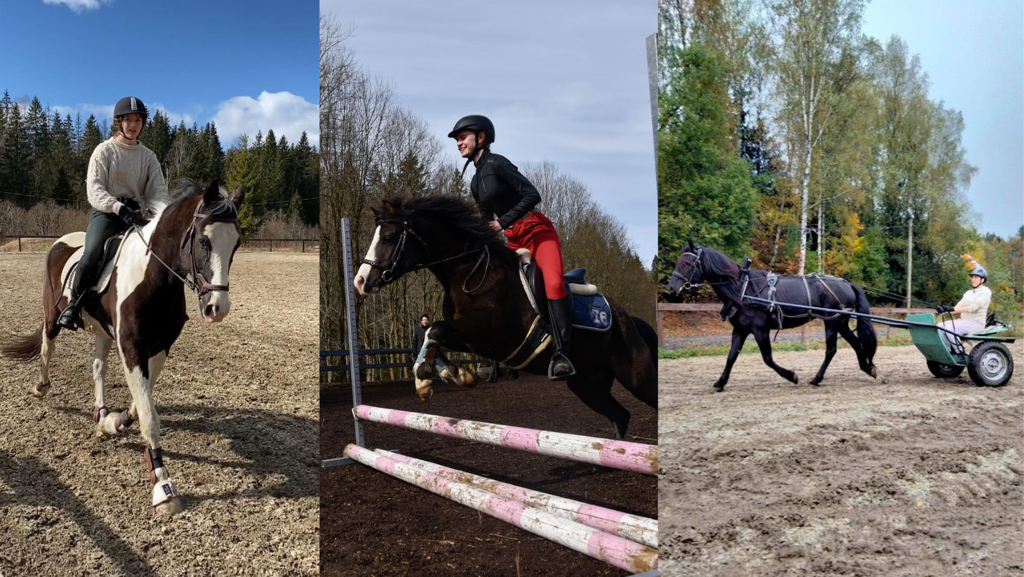 Påmelding til vårens ridekurs i rideskolen