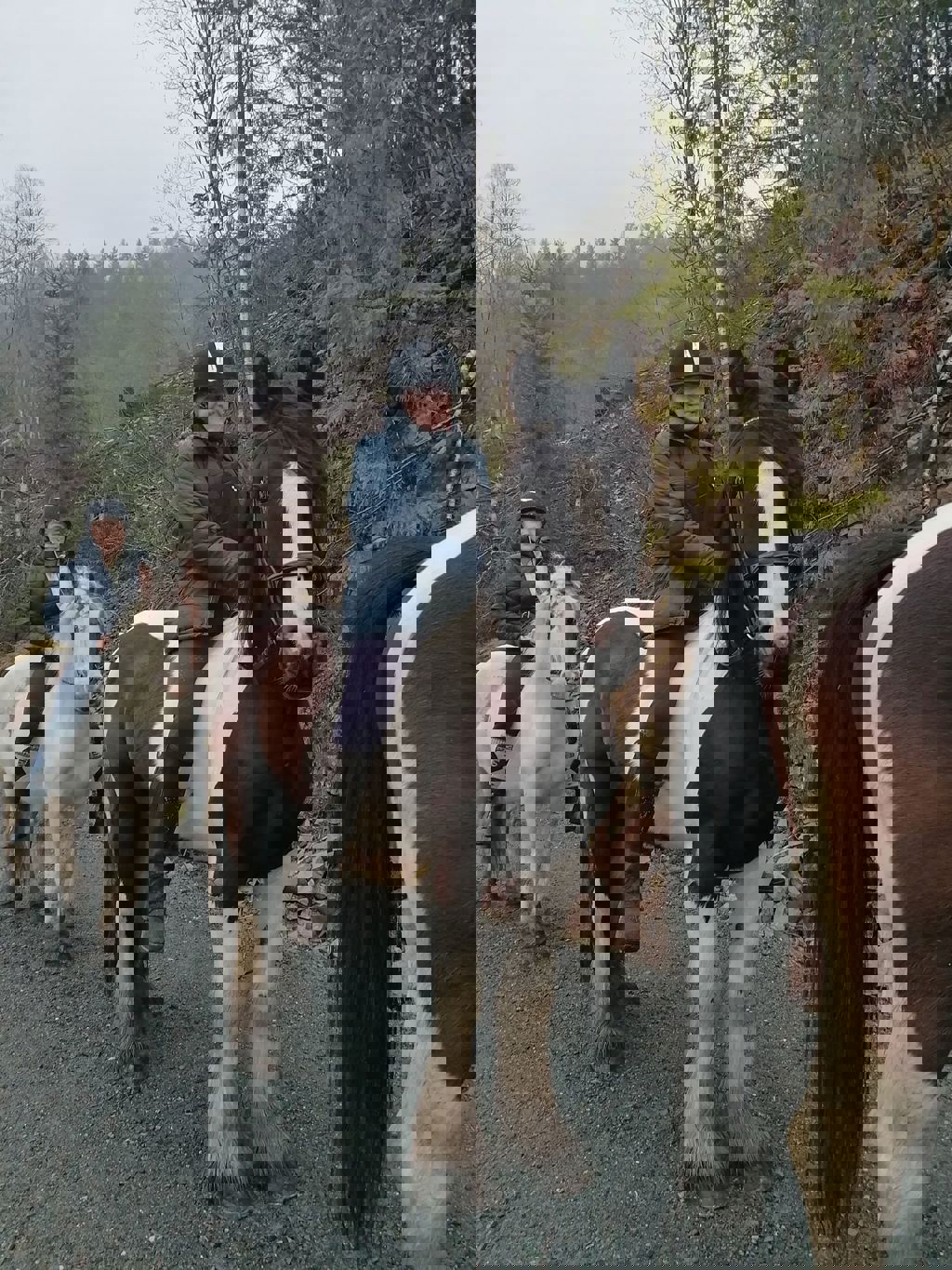 Ridetur, bakkearbeid, sprang og dressur i pinsen