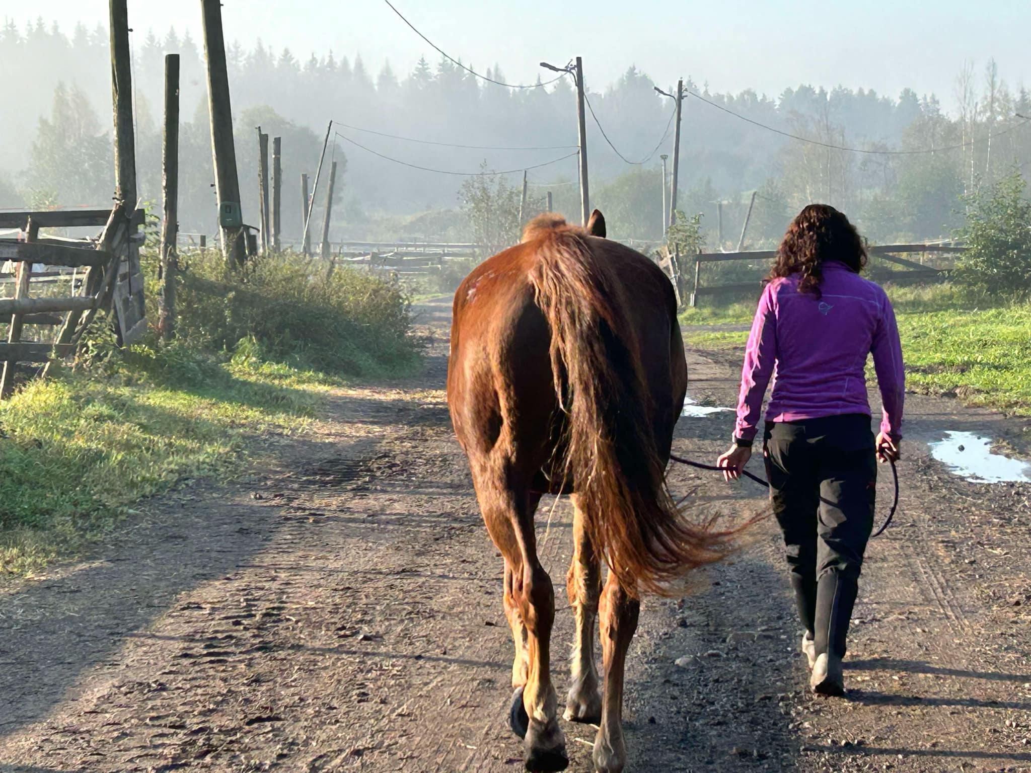 Oppdatering i koronavettregler: Beboere i Viken