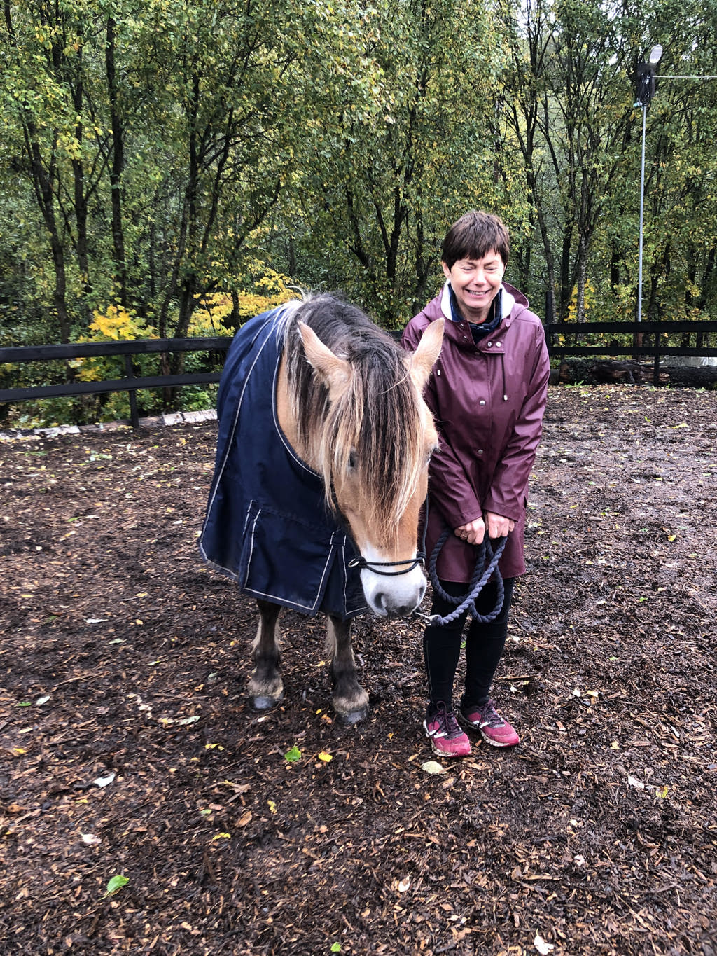 Magi i luften når man har (bakke)kontakt med heste