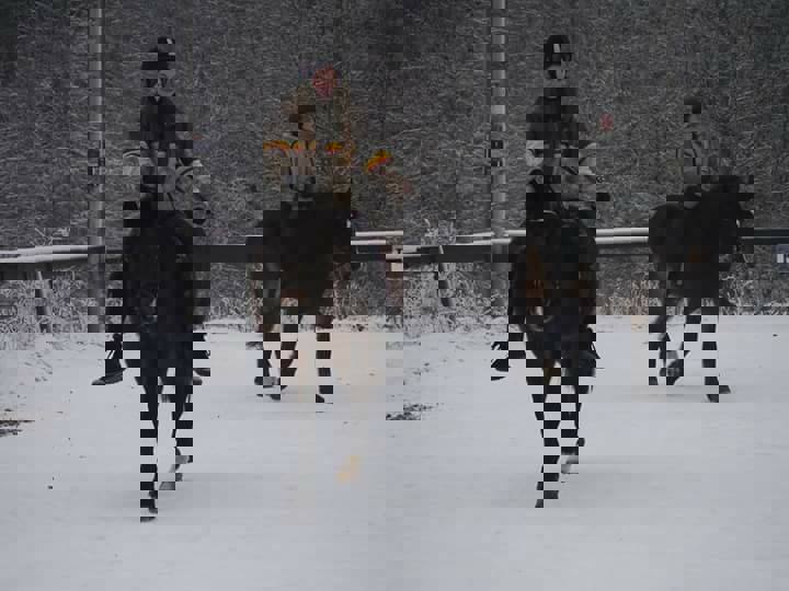 Bueskyting til hest - et prosjekt!