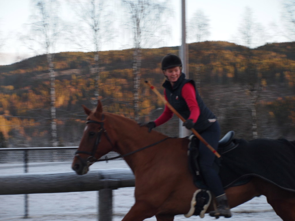 Første forsøk for den ridende bueskytter