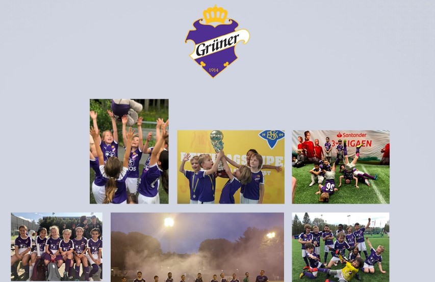 Grüner-året 2021, les sakspapirene til årsmøtet