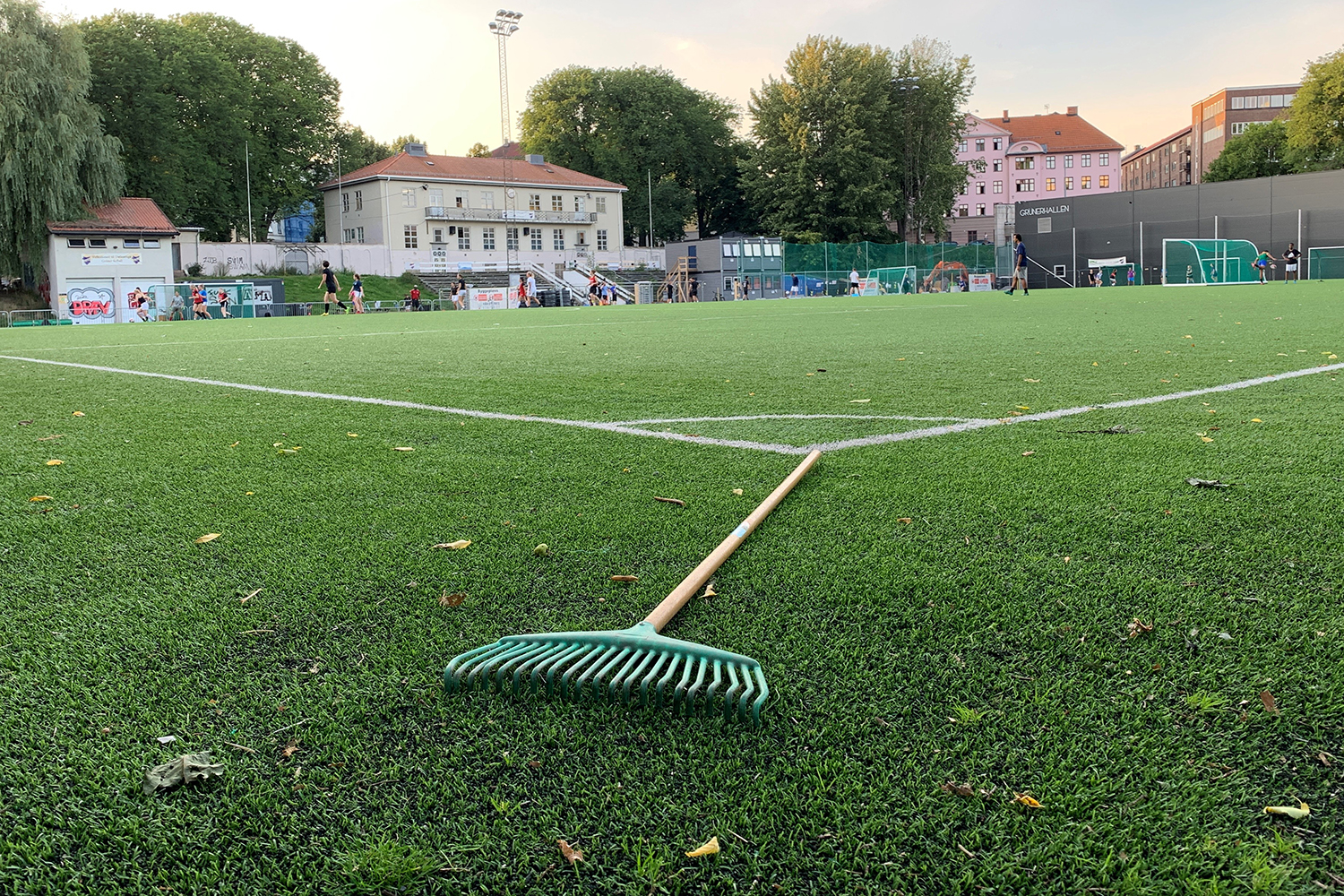 Rydding på Dælenenga våren 2021