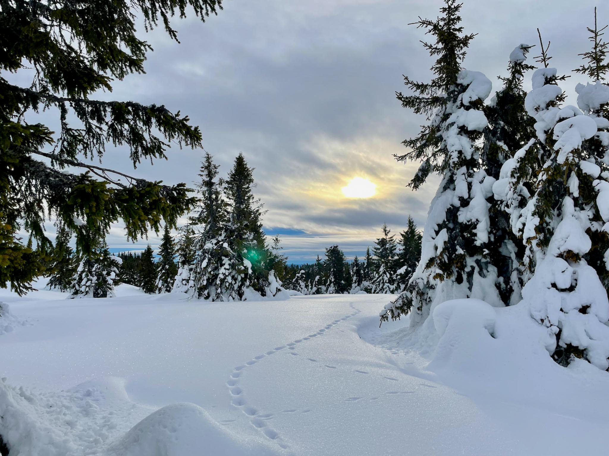 Avtale inngått med RingsakFjellet Drift om snøbrøyting for sesongen 2025-2026