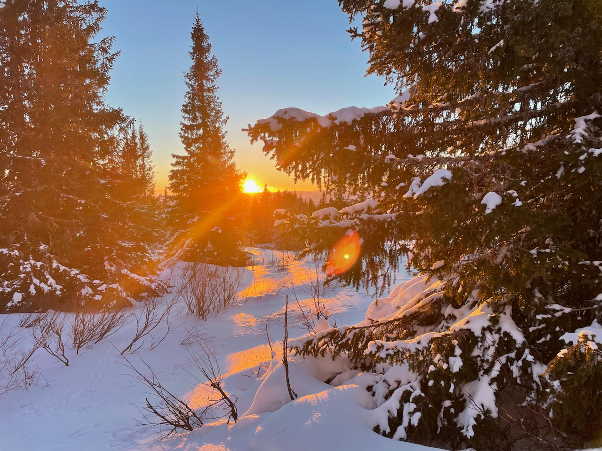 Høringsinnspill fra Fjellgrensenettverket LRØ til kommuneplanens arealdel Ringsaker kommune