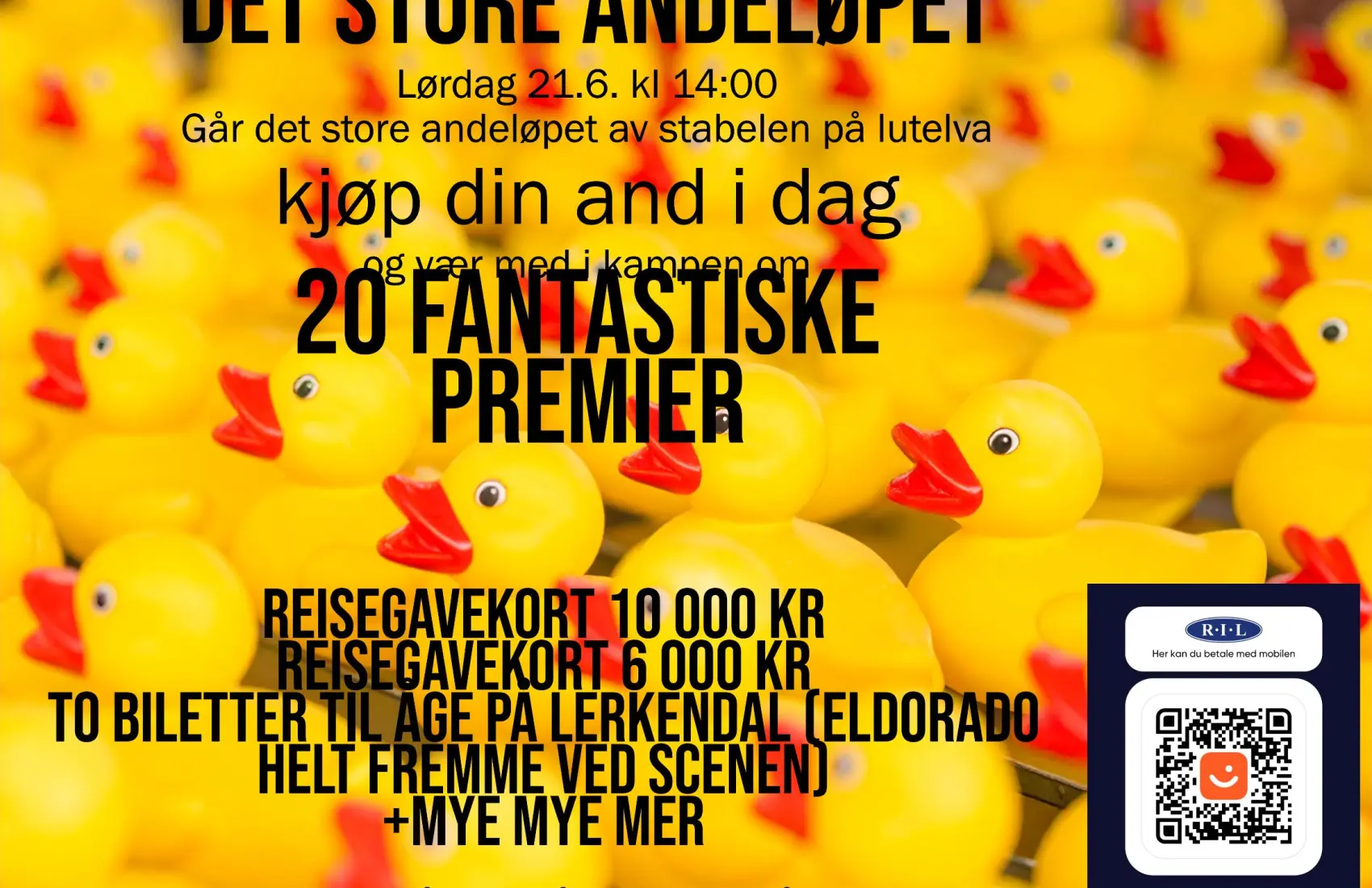 Image for Det Store Andeløpet 2025!