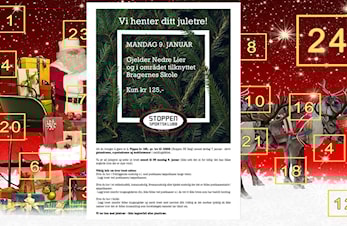 Luke 20: Vi henter juletreet ditt!
