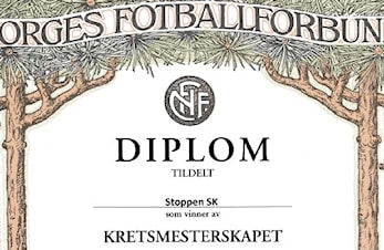 NFF Buskerud kretsting - Kretsmesterskap 2024