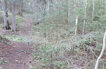 Stolpejakt på Minnesund