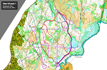 Første koronaspesial en suksess - ny koronaspesial startet