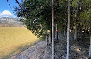 O-sesongen starter med "Ukas løype" fra påskeaften