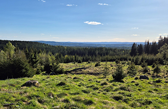 KM på Jøndalsvangen 23. august