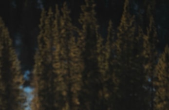 Påskebrev frå Jon Rolf