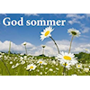 God sommer- Velkommen til høsten