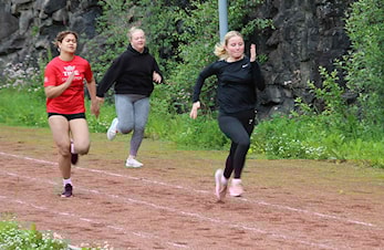Skulestemner med gode resultat