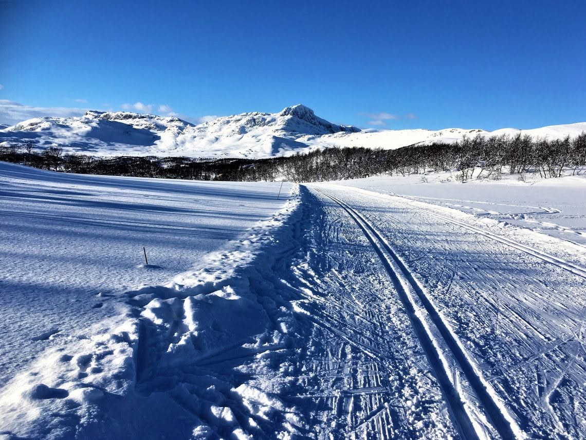 Skisamling Beitostølen 2026