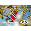 17. mai - feiring og tog under idrettslagets fane