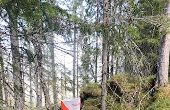 Vi arrangere årets første OG-karusell sammen med Finn Fram Dagen 3
