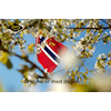Gratulerer med dagen