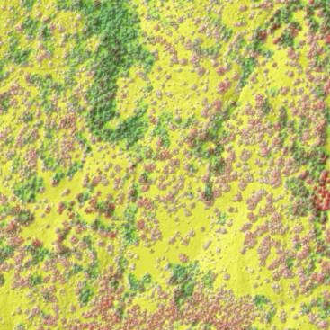 A close-up of a yellow surfaceAI-generated content may be incorrect.