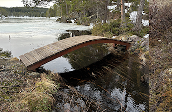 Vinner vinter-/skiturorientering
