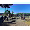 Aktivitetsdag Trehjøringen 6-12 år lørdag 1,oktober kl 11.00
