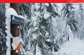 GOD JUL og GODT NYTTÅR