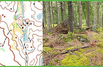 Veteranmesterskapet 2024