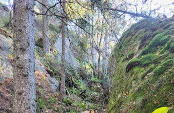 Treningsløp høsten 2025