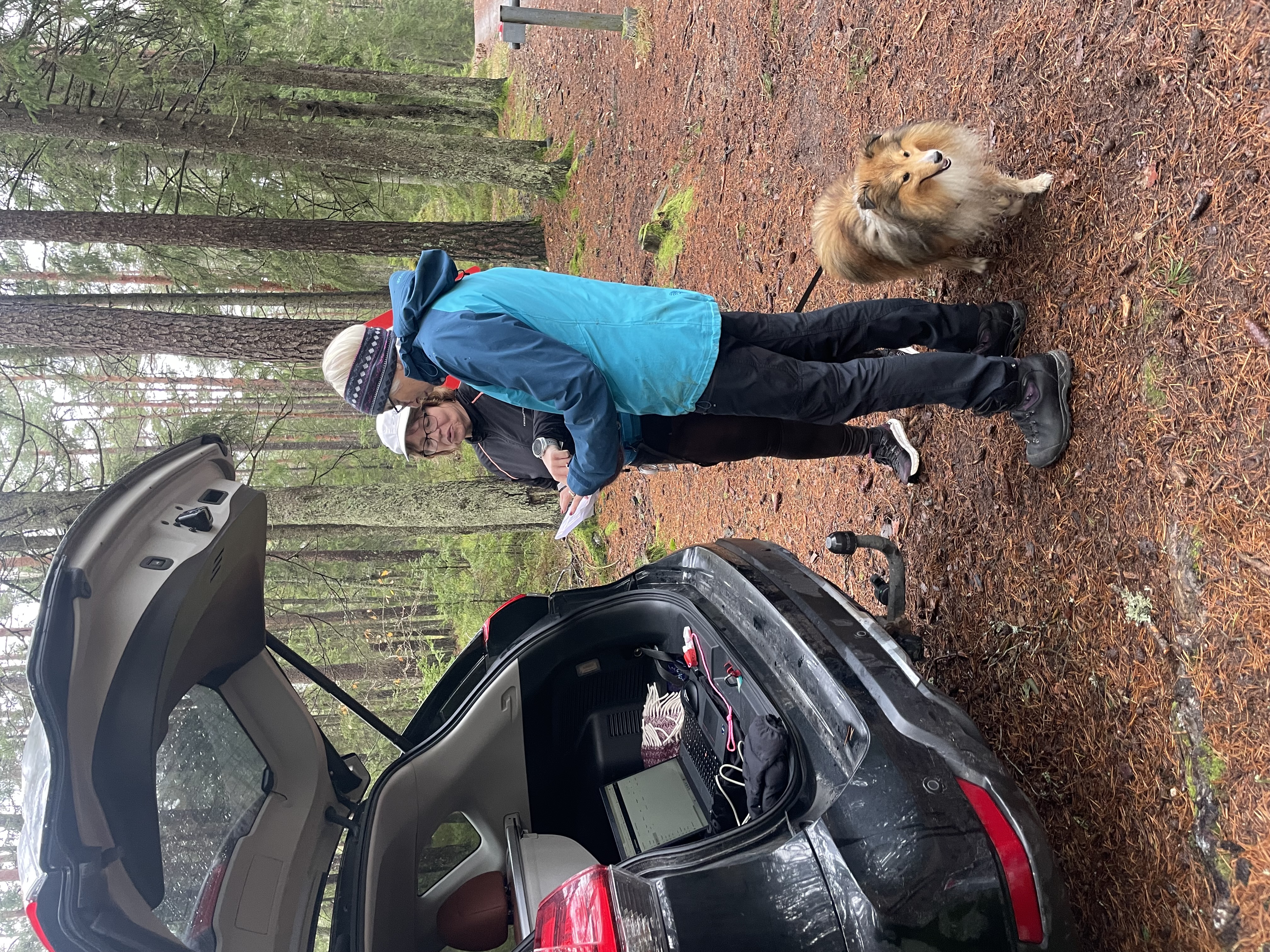 Treningsløp Stikkaåsen