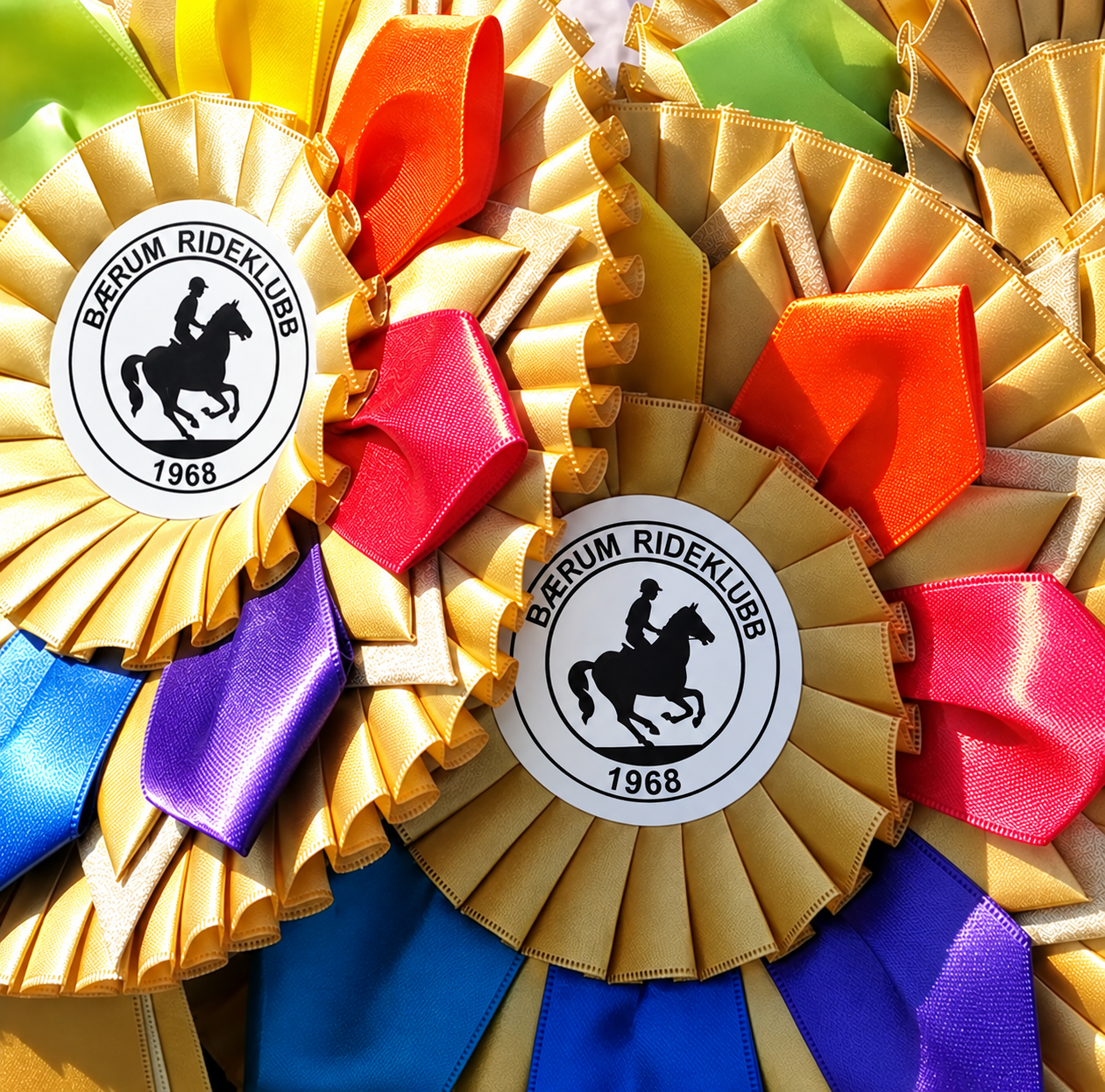 Helgens stevne avlyses – Rainbow Cup-finalene flyttes til våren