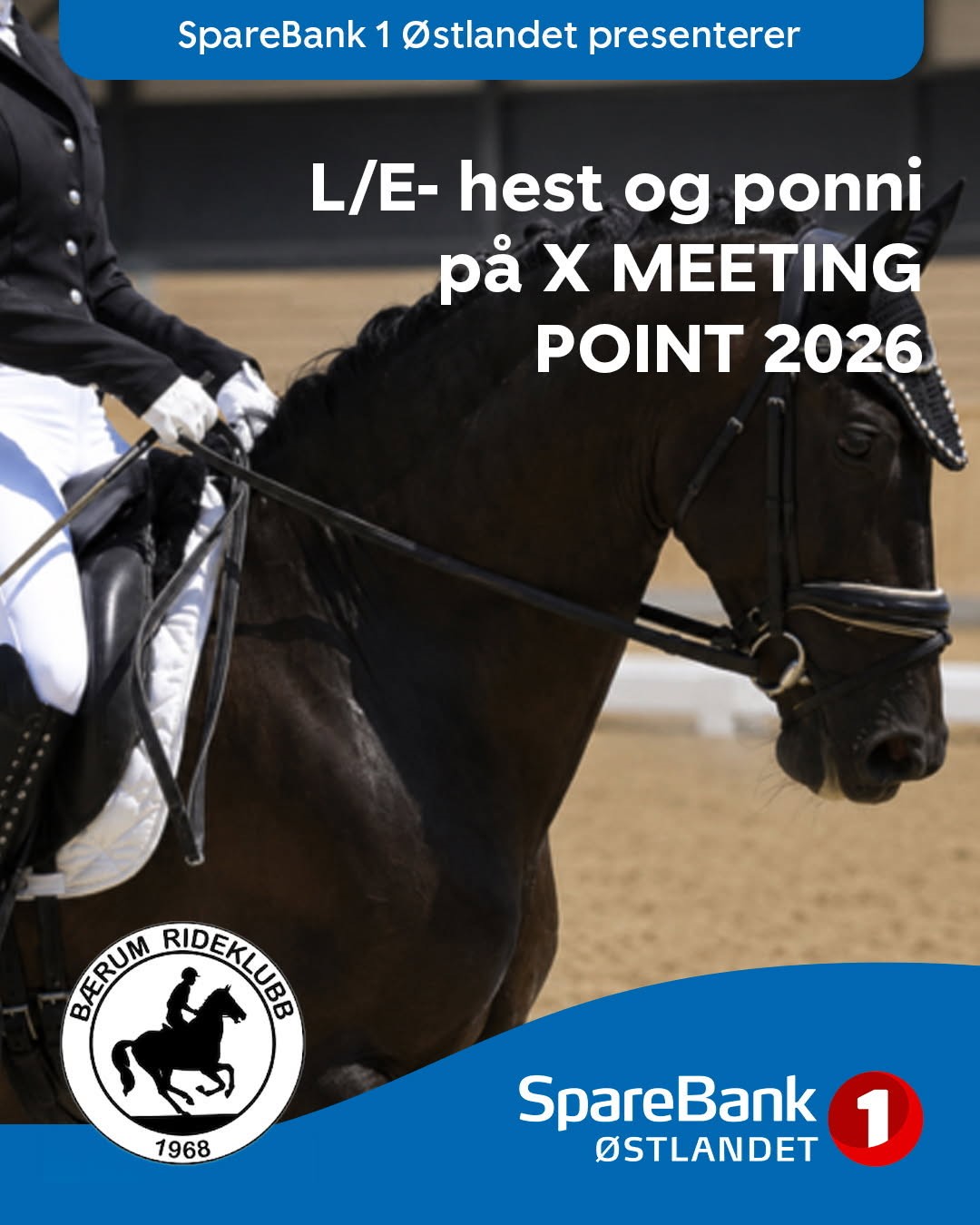 L/E- hest og ponni på X MEETING POINT 2026