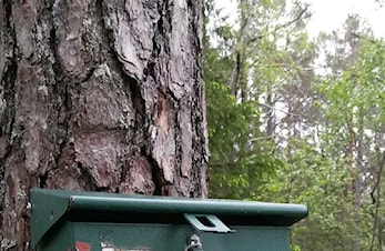 Årets trimkassevinnere