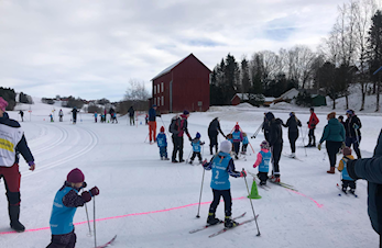Telenorkarusellen oppsummert 2019-2020