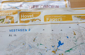 O-løp på Veståsen 2 kartet onsdag 14/8 kl. 18 - Postane ligg ute torsdag 15/8. Kart i grønt telt ved vegen.