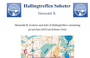 Hallingtreff 3 på Solseter