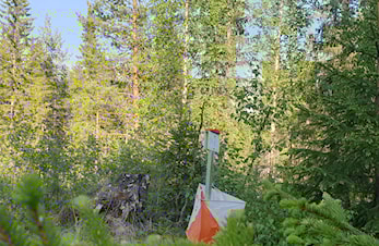 Velkommen til O-løp på Torpo - Syningen kartet onsdag 3/9-2025 kl. 17:30