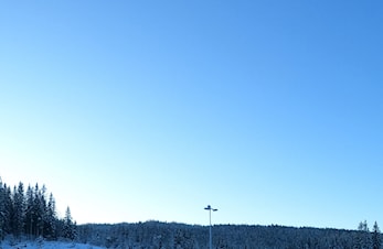 Bjerkesprinten 2023