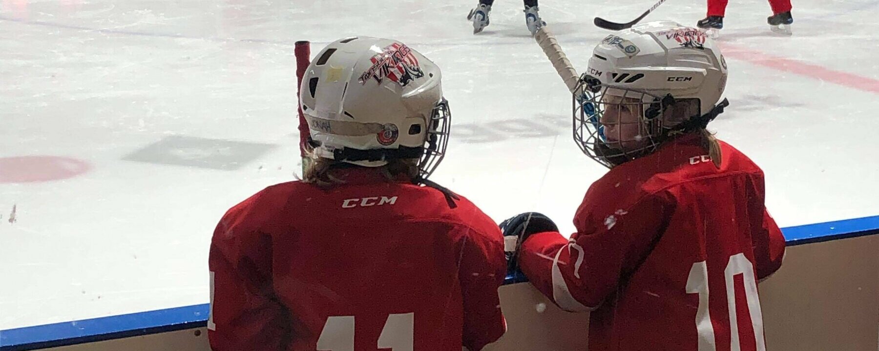 Spleis: Utstyr til utlån for Hockeyskolen og breddeavdelingen