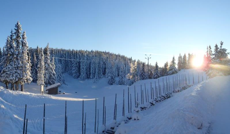 VIL DU VÆRE MED Å LAGE SNØ PÅ RINGKOLLEN TIL VINTEREN?
