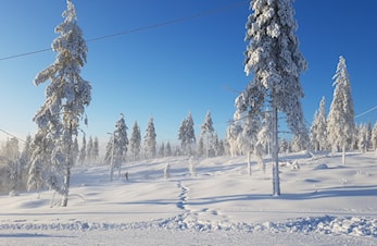 Mange fra Svea på skirenn i helga