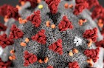 Svea skilag har oppstart på aktiviteter igjen fra tirsdag 17.novmeber med unntak av de minste.