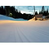 Trippelrenn Svea 2020-02-11